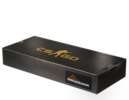 Сувенирный набор DreamHack 2013
