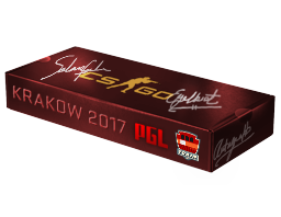 Сувенирный набор PGL Krakow 2017 Train