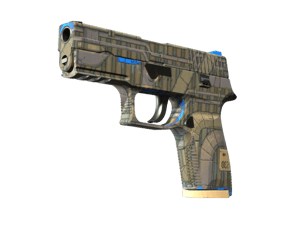 P250 | Exchanger (Factory New)