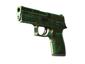 P250 | Verdigris (Battle-Scarred)