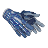 ★ Sport Gloves | Amphibious (Well-Worn)