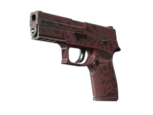 StatTrak™ P250 | Contaminant (Field-Tested)