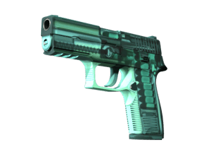 StatTrak™ P250 | X-Ray (Factory New)